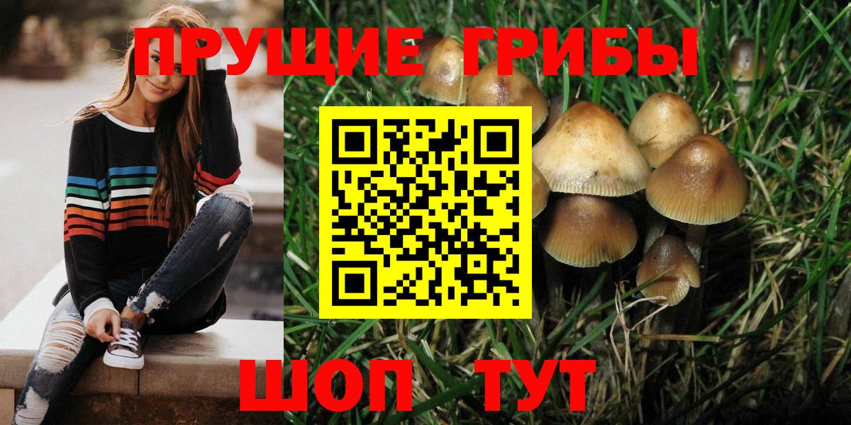 Галлюциногенные грибы GOLDEN TEACHER  Вход с VPN  Избербаш 